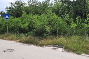 Zapuštena javna površina pored škole i zabavišta u Šabačkoj ulici