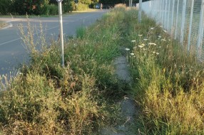 Neprohodna staza za pešake