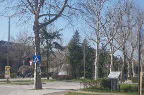 Postavljanje reklama dešavanja na saobraćajne znakove, semafore, stubove po celom gradu