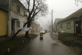 Odsustvo reakcije na problem (pokidani ulični kablovi)