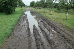 Neasfaltirana (12. nova) ulica na Bikovu