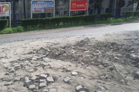 Izgled Tolminske