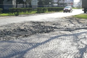 Izgled Tolminske