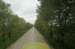 Zarasla drva na putu i rupe na Ljutovačkom putu