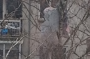 Fasada sa zgrade na Radijalcu pala između grane drveta