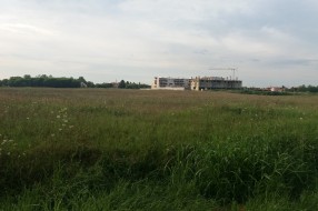 Košenje ambrozije u Kireškoj ulici