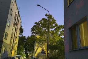 Rasveta nije u funkciji - Segedinski put