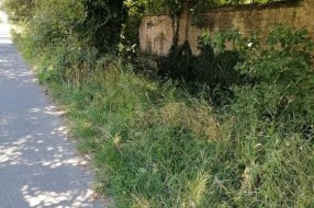 Trava oko prve kasarne (u Ulici Vuka Mandušića)