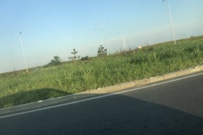 Nedostatak smerokaza i katadioptera na putu broj 100 (Subotica - Stari Žednik)