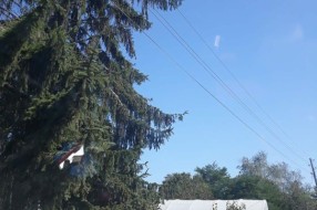 Skadarlijska ulica u rupama