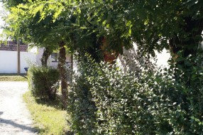 Skriveni znak u Novoselskoj ulici