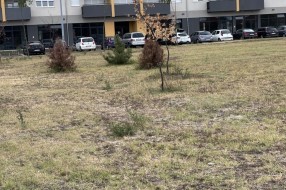 Novi park u Kertvarošu uvenuo