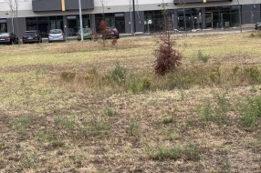 Novi park u Kertvarošu uvenuo