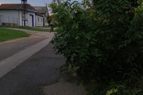 Zapuštena staza i nepregledna raskrsnica u Aleksandrovu (Verušićka ulica)