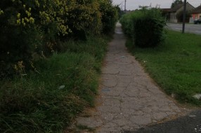 Zapuštena staza i nepregledna raskrsnica u Aleksandrovu (Verušićka ulica)