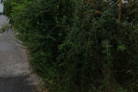Zapuštena staza i nepregledna raskrsnica u Aleksandrovu (Verušićka ulica)
