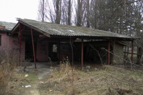 Sadnja novog drveća - Dudova šuma