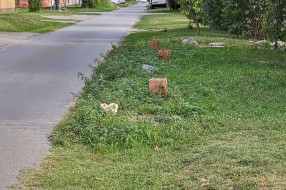 Trotoar po kom se ne može hodati u Novom selu