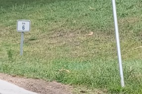 Bezbednost u saobraćaju