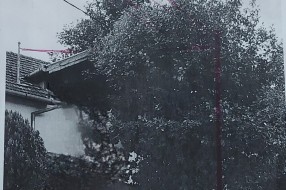 Urasle grane u kablove elektroinstalacije