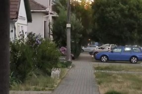 Urasle grane u kablove elektroinstalacije