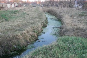 Jaši bara
