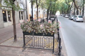 Otežana vožnja biickla u centru grada