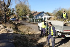 Opasnost lomljenja starih drva ispred OŠ Ivan Milutinović u Maloj Bosni