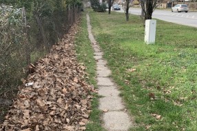 Neodržavanje zelenih površina na Paliću (Horgoški put)