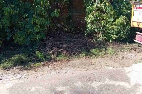Nagomilano smeće kod auto praonice sa Somborskog puta u Mićurinovu