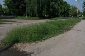 Vrtić Alisa zarastao u travu