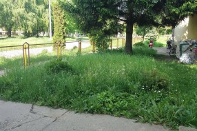 Vrtić Alisa zarastao u travu