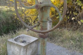 Zaboravljeni, zapušteni, presahli subotički javni bunari
