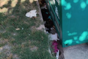 Smeće oko velikog kontajnera u centru Čantavira