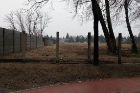 Ugrožavanje Dudove šume