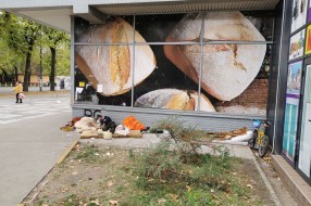 Beskućnici - skitnice u centru Palića
