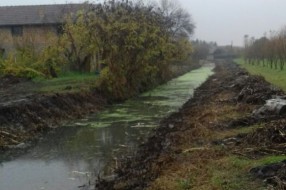 Jasibara - stanje livade posle košenja