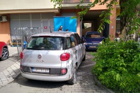 Pauk ne radi nedeljom