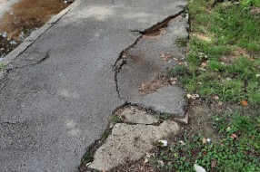 Problem s drvetom i trotoarom na raskrsnici ulica Čat Geze i Zetske