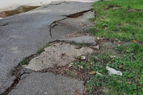 Problem s drvetom i trotoarom na raskrsnici ulica Čat Geze i Zetske