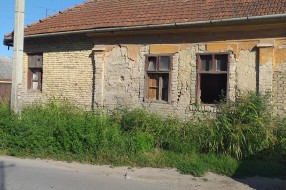 Džungla u centru grada (Ulica Bore Stankovića)
