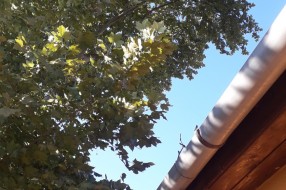 Neokresano granje preko puta "Željezničara"