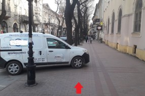 Borovo ulica - pešačka zona?