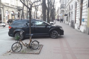 Borovo ulica - pešačka zona?
