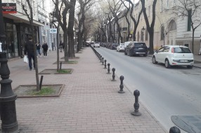 Borovo ulica - pešačka zona?