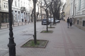 Borovo ulica - pešačka zona?