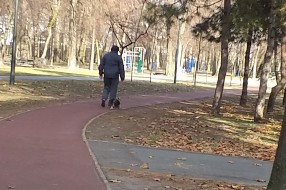 Čemu (treba da) služi trim staza u Dudovoj šumi?