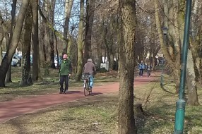 Čemu (treba da) služi trim staza u Dudovoj šumi?