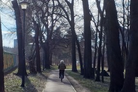 Čemu (treba da) služi trim staza u Dudovoj šumi?