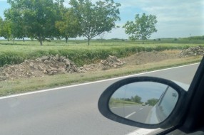 Istovaren šut u kanal na ulazu u Bajmok